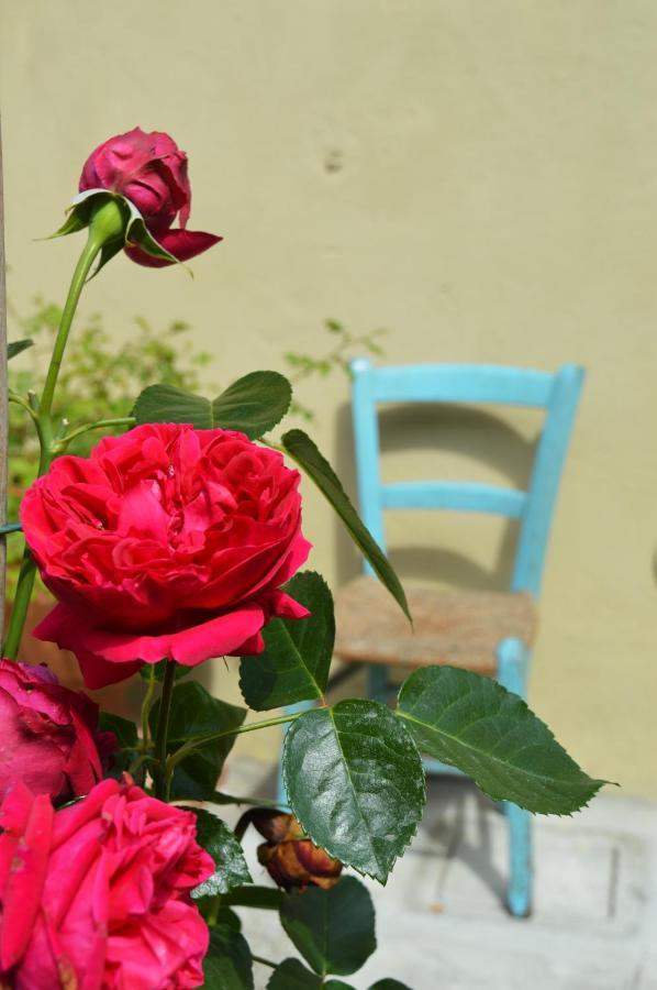B&B Lady Cocca Savio di Ravenna Eksteriør bilde