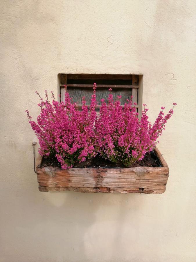 B&B Lady Cocca Savio di Ravenna Eksteriør bilde